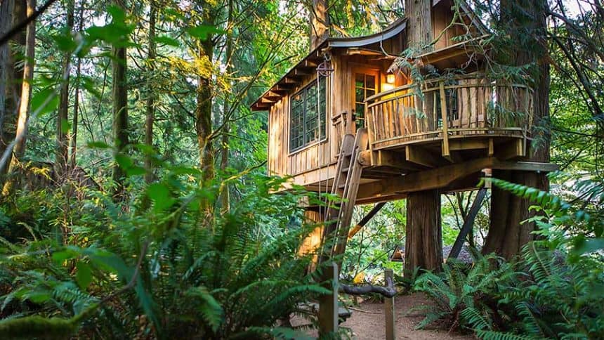 camptrekking-sea-thumb-summer-treehouse